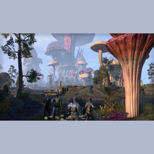 Bethesda Softworks The Elder Scrolls Online: Morrowind