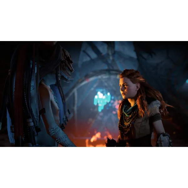 Sony Interactive Entertainment Horizon Zero Dawn: The Frozen Wilds