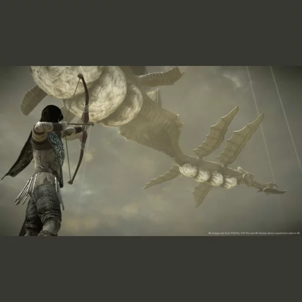 Sony Interactive Entertainment Shadow of the Colossus, Ico