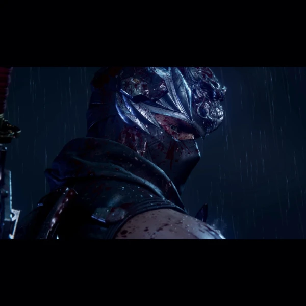 Xbox Game Studios Ninja Gaiden 4