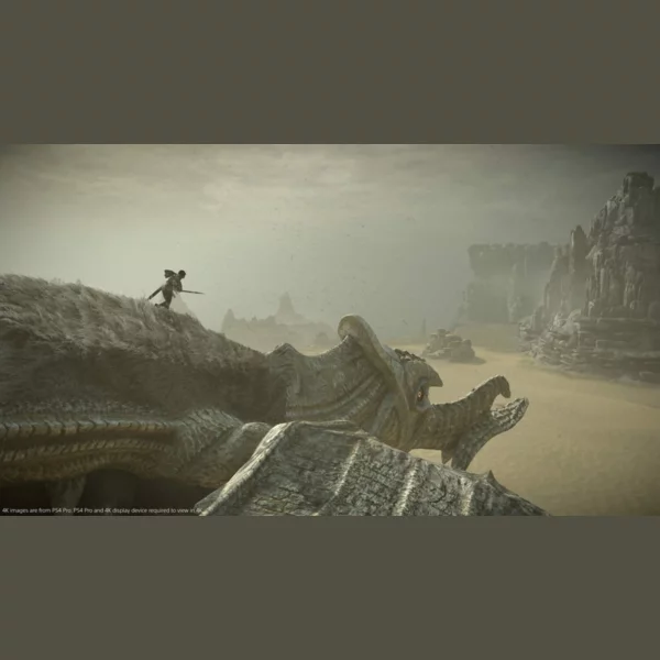 Sony Interactive Entertainment Shadow of the Colossus, Ico