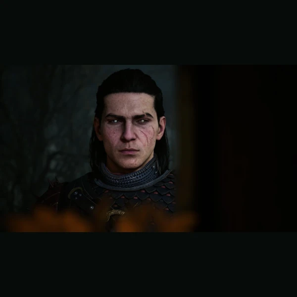 Bandai Namco Entertainment The Blood of Dawnwalker