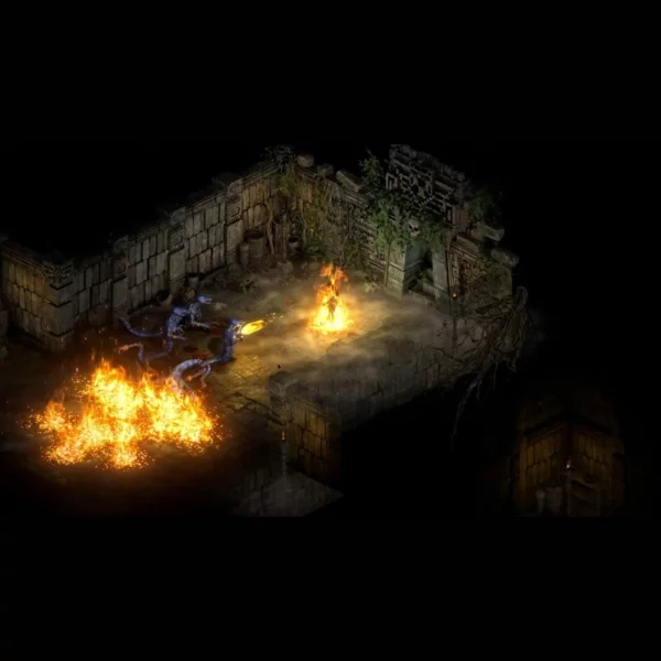 Blizzard Entertainment Diablo II: Resurrected