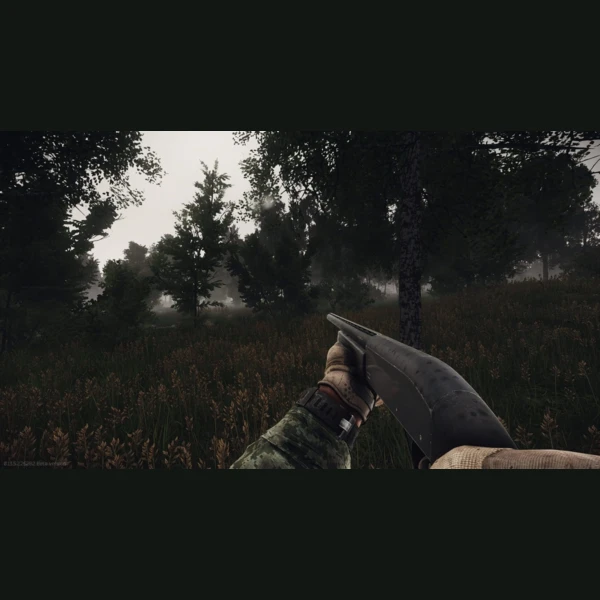 Battlestate Games Escape from Tarkov