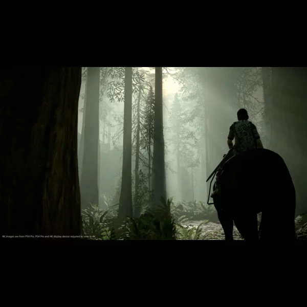 Sony Interactive Entertainment Shadow of the Colossus, Ico