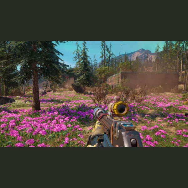 Ubisoft Entertainment Far Cry New Dawn