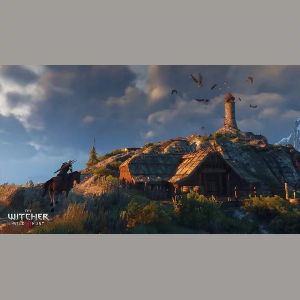 CD Projekt RED The Witcher 3: Wild Hunt