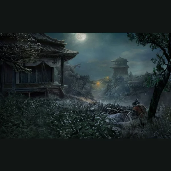 Activision Sekiro: Shadows Die Twice