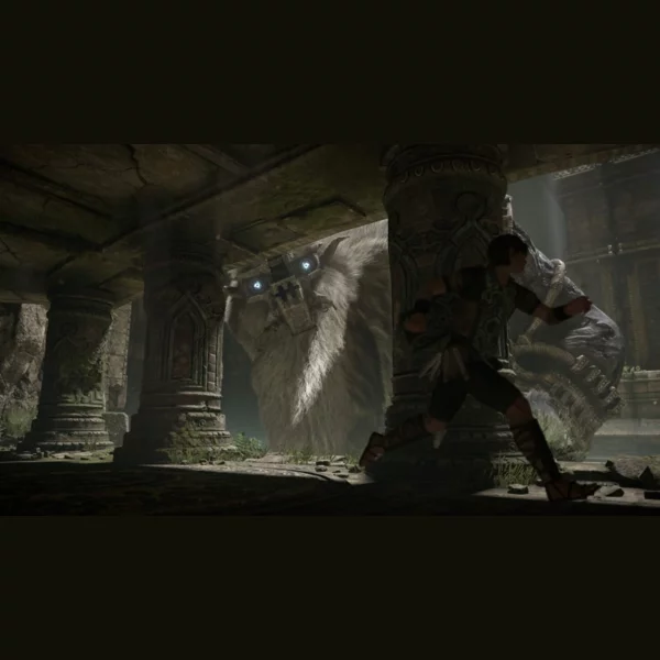 Sony Interactive Entertainment Shadow of the Colossus, Ico