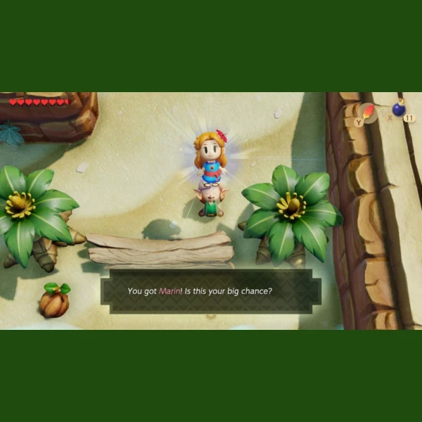 Nintendo The Legend of Zelda: Link's Awakening