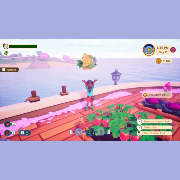 VoodooDuck Collector's Cove