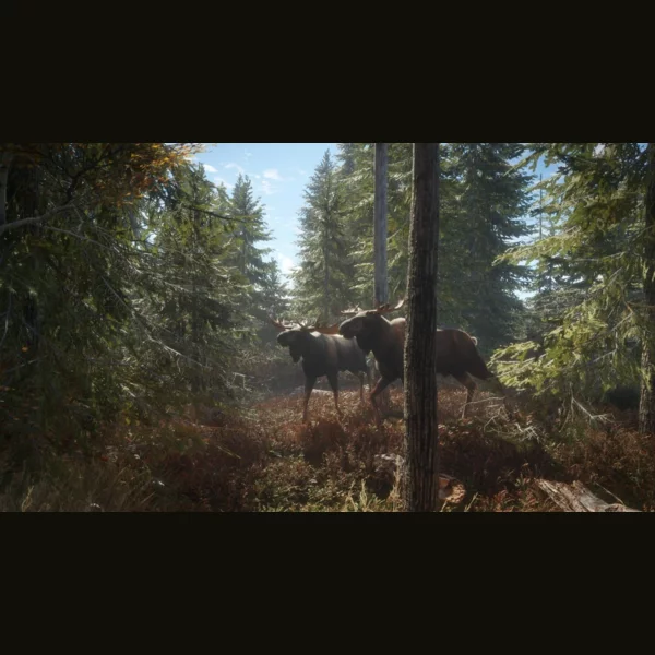 Avalanche Studios TheHunter: Call of the Wild