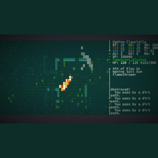 Freehold Games Caves of Qud