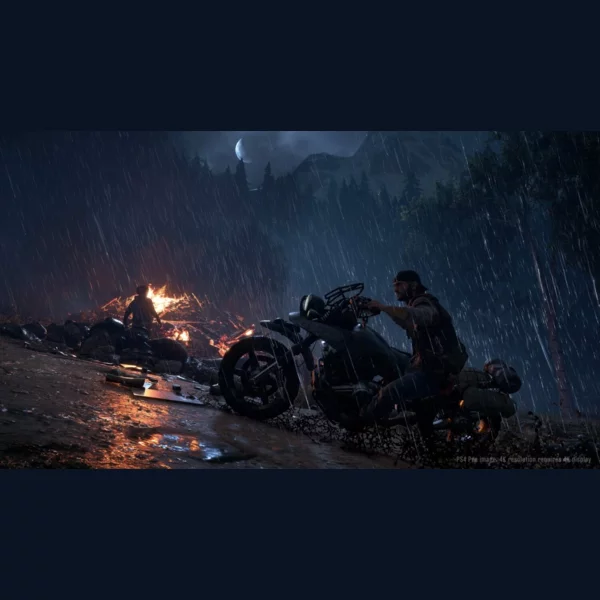 Sony Interactive Entertainment Days Gone