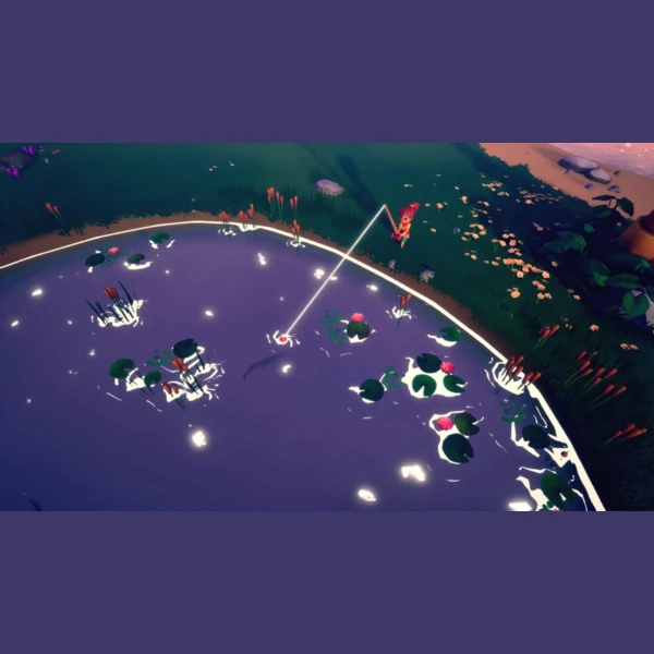 VoodooDuck Collector's Cove