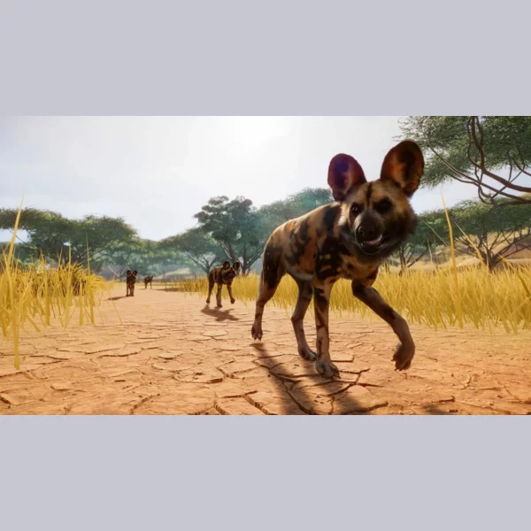 Frontier Developments Planet Zoo