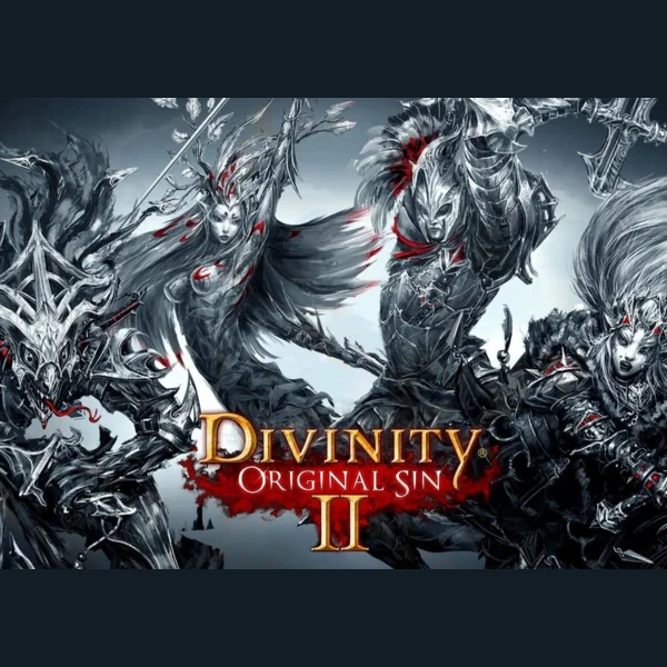 Larian Studios Divinity: Original Sin II