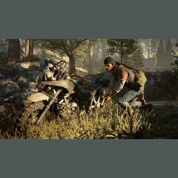 Sony Interactive Entertainment Days Gone