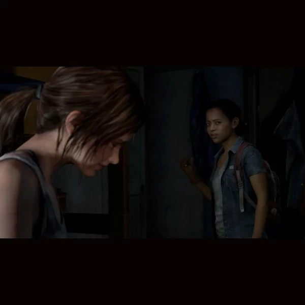 Sony Computer Entertainment The Last of Us: Left Behind