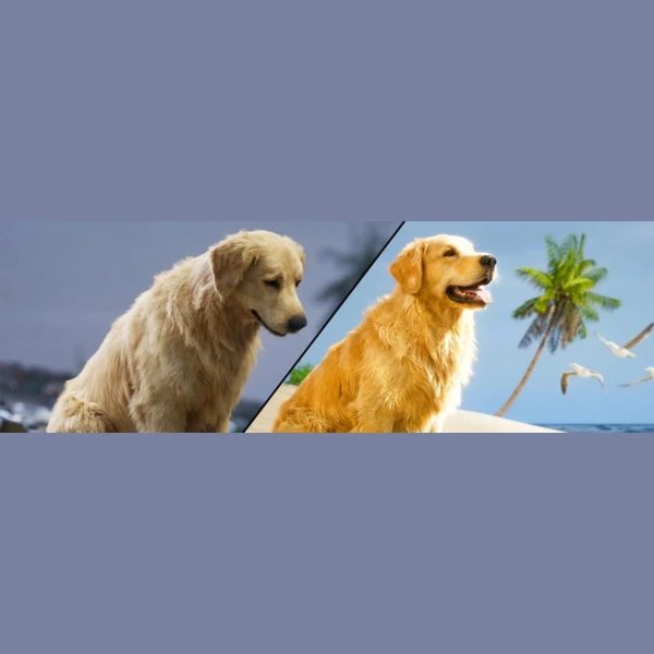 PaiBand Game Studio Restore Your Island