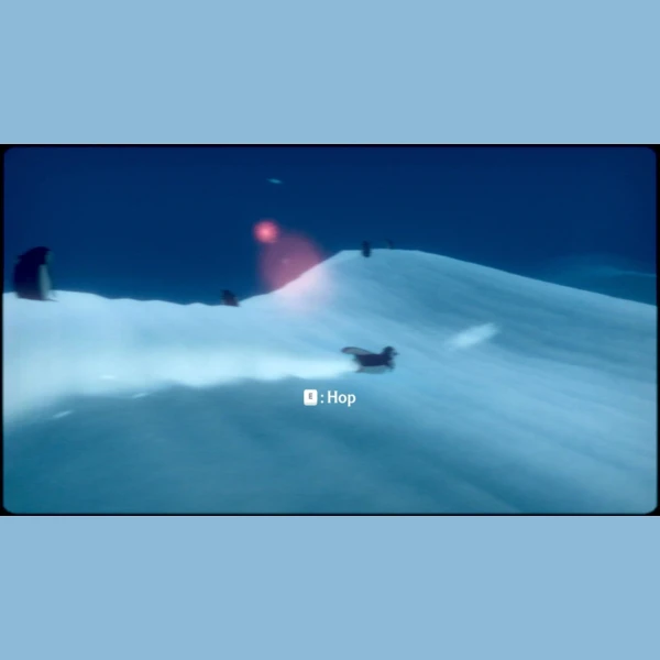 Fellow Traveller Penguin Colony