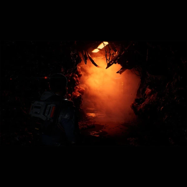 Bandai Namco Entertainment Directive 8020
