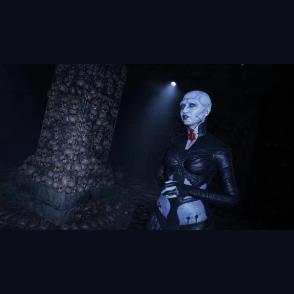 Boss Team Games Clive Barker's Hellraiser: Revival