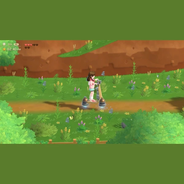 Natsume Inc. Harvest Moon: Home Sweet Home Special Edition