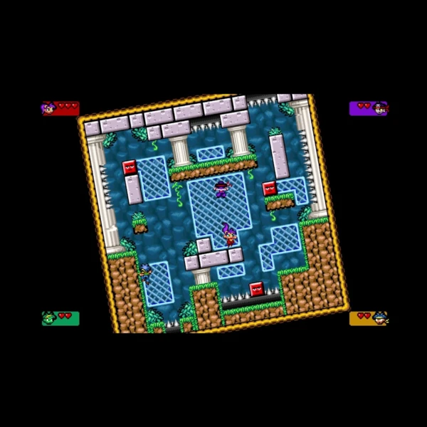 WayForward Shantae Advance: Risky Revolution