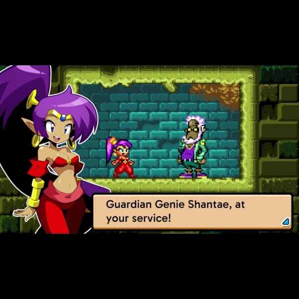 WayForward Shantae Advance: Risky Revolution