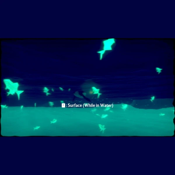 Fellow Traveller Penguin Colony