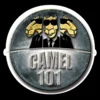 Camel 101