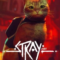 Stray