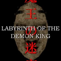 Labyrinth of the Demon King